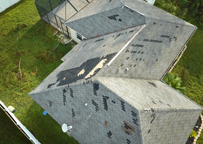 Damaged roof shingles